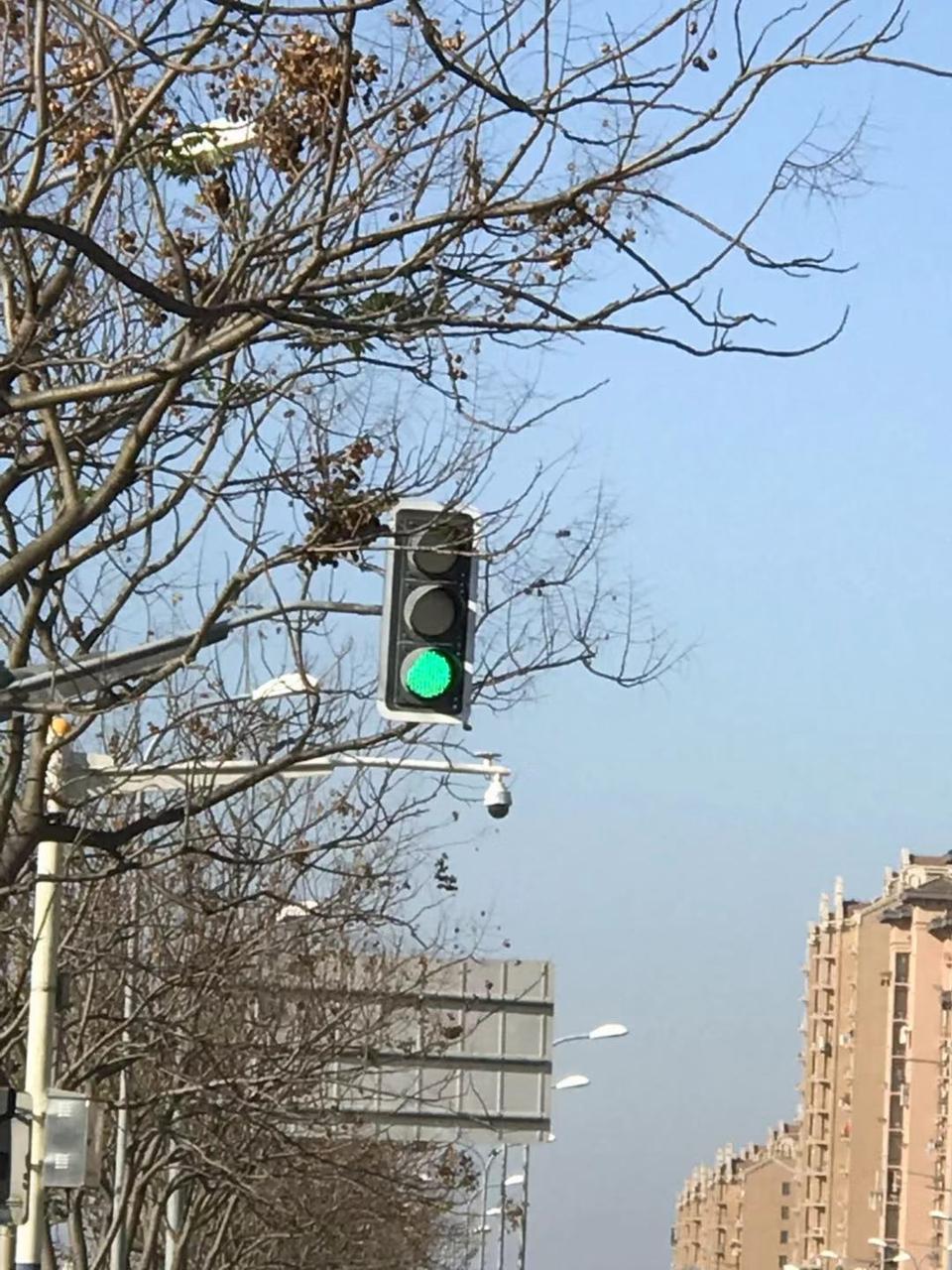 别克gl6-各位大神 这种探头是拍什么的 昨天就在这个路口闯了红灯???