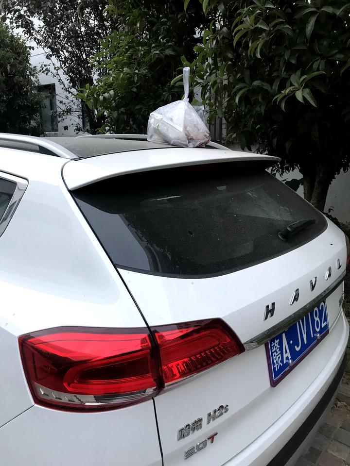 哈弗h2s-哈佛h2s锁车上楼之后，被楼上的人扔外卖砸到车，为什么车不会响，只会一闪一闪，是不是他这辆车有问题？