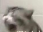 哈弗h2s-哪位车友可以告诉我如何熄火不断电啊