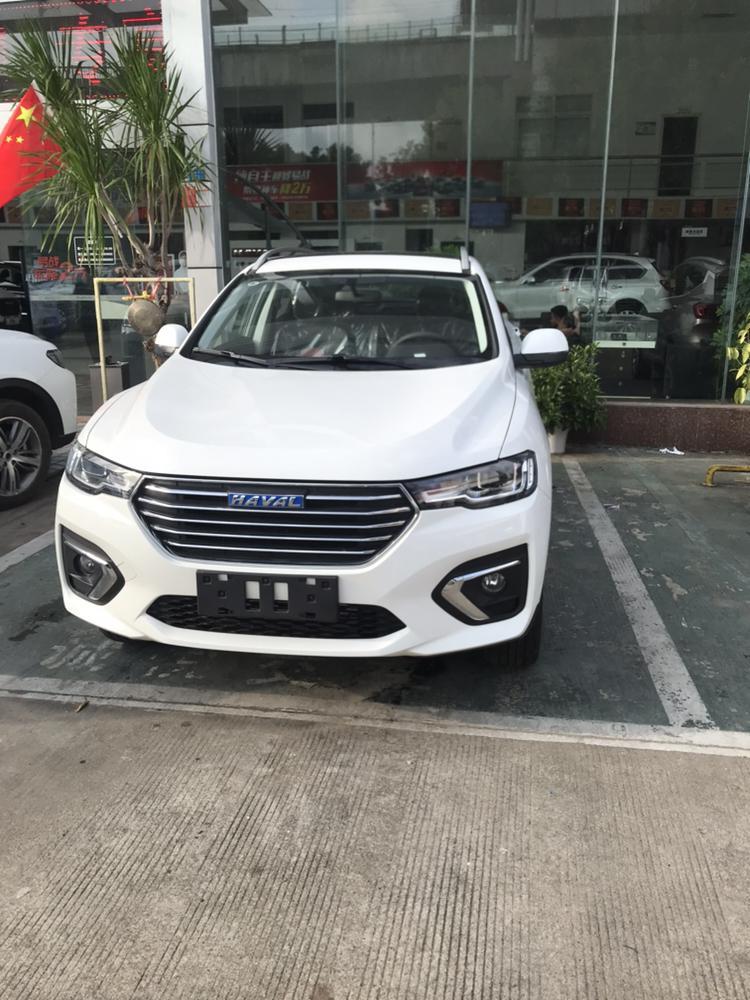 哈弗h2s-我买的H2s18款蓝标精英型，想问一下你们买的时候有原车发动机底护板吗？