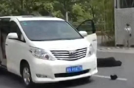 埃尔法-这是丰田什么?