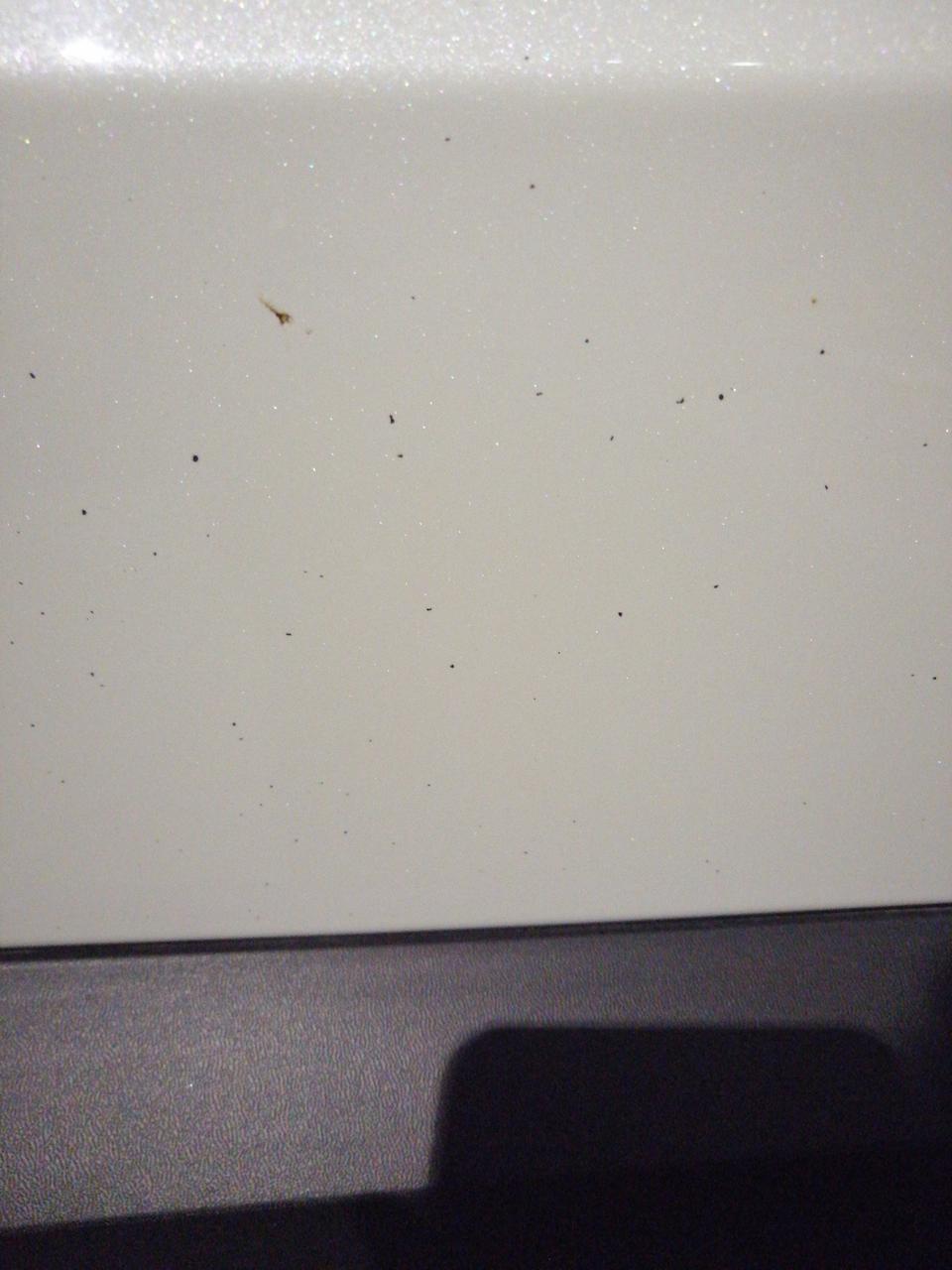 宝马1系(进口)-小黑点怎么清理。求解