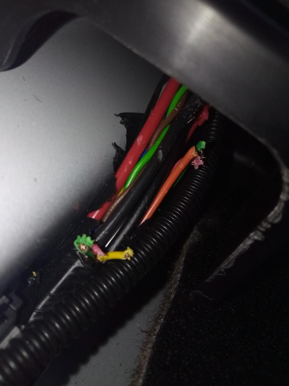 传祺gs3-有谁知道像这种情况老鼠咬断了保险和4S店会保吗？还是要自己付钱啊？