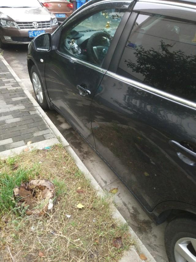 骐达tiida-这车是啥车。看看侧面