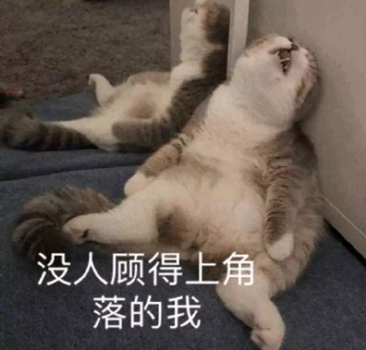 奥迪rs 5-想知道现在上海或周边rs5 有没有现车，上次咨询了一个4s店，需要预定7-8个月，有点伤不起