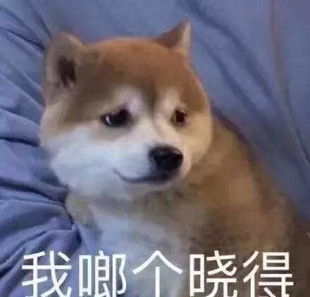 yaris l 致享-今天去看了下20款自动领先版致享，佛山4儿子店报价91000全款，送倒车，贴膜，行车记录，中控大屏，脚垫，挡泥板这些，圈友们觉得贵吗，给些建议，那钥匙挺掉价的，试乘了下，前后坐，感觉外面风噪挺大的