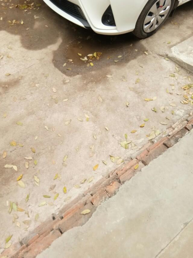yaris l 致享-这个黑的是灯吗？可以打开吗？