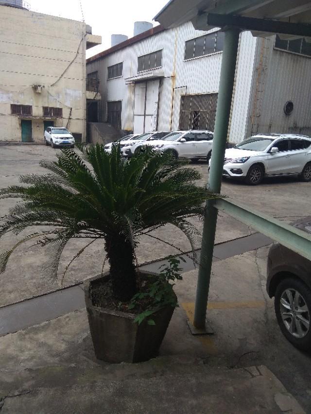 宋-现在的车说是白色的比较安全和耐脏，这个自己用着好像耐脏是真的，因为不怎么看得出来，是不是都喜欢白色的了？