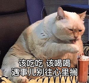 标致408-18款标志408空调滤芯和空气滤芯怎么换？详细的教程有吗？