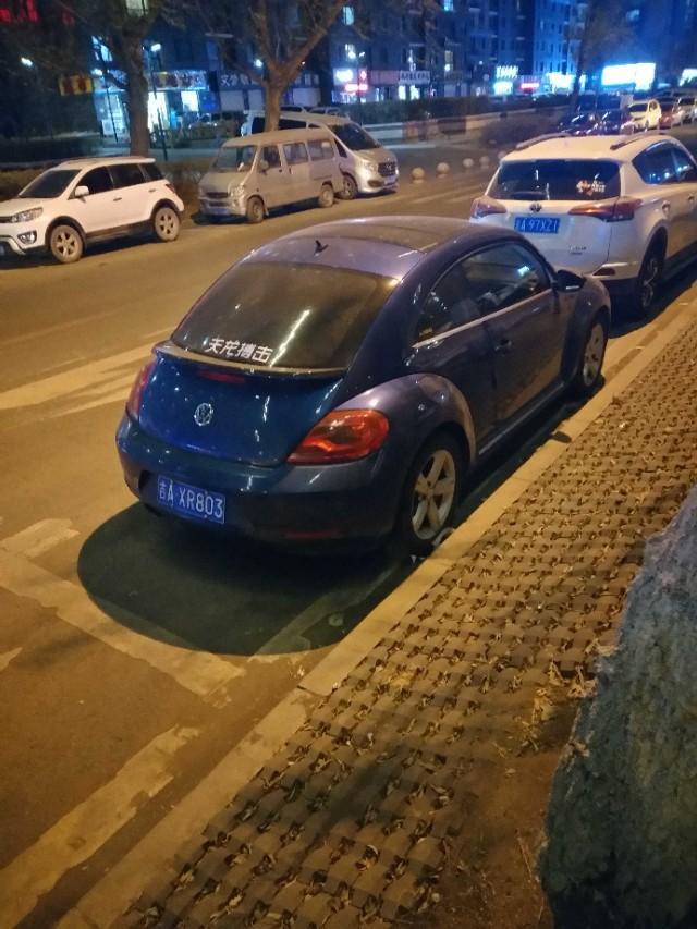 大众甲壳虫的落地价格大约是多少？