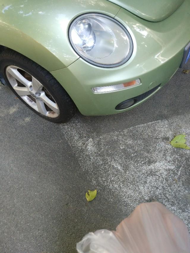 甲壳虫-早上好。看看这车漂亮吗？