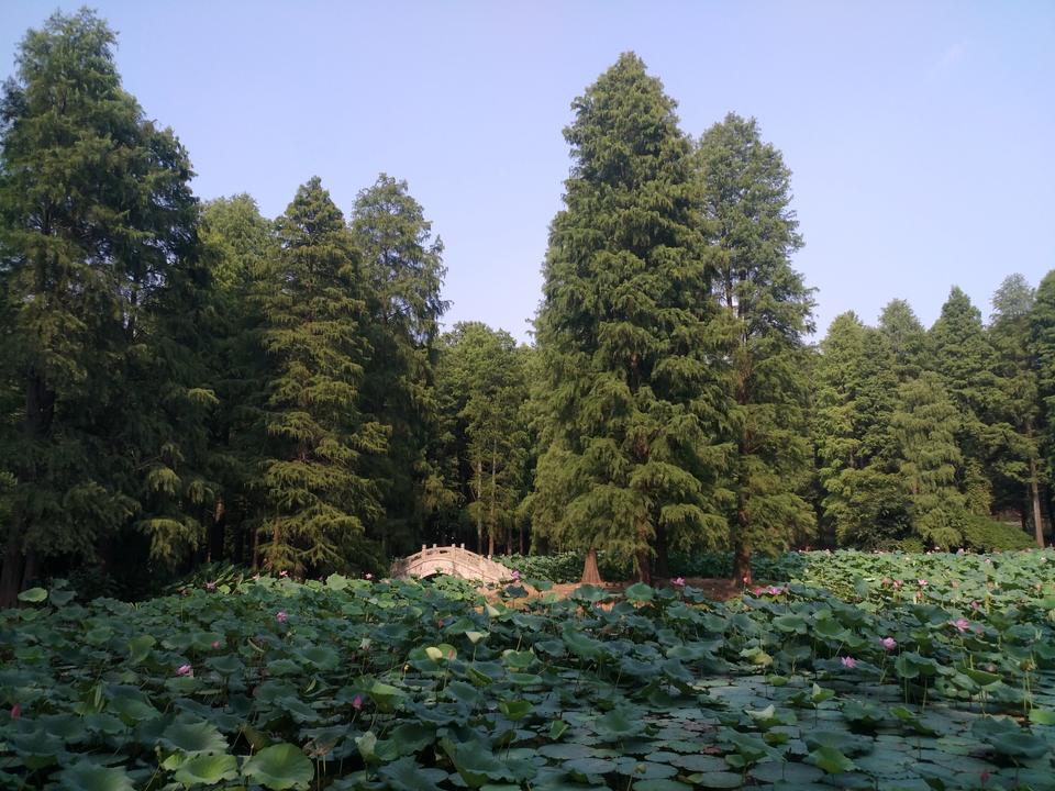 启辰D60十万荣耀辰酷版在武汉落地价多少钱？上周做活动优惠1.4万，有没有最近入手的朋友？