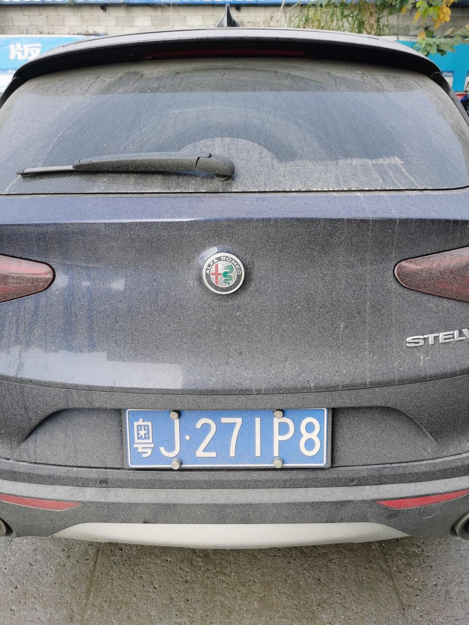 stelvio-这是什么牌子的