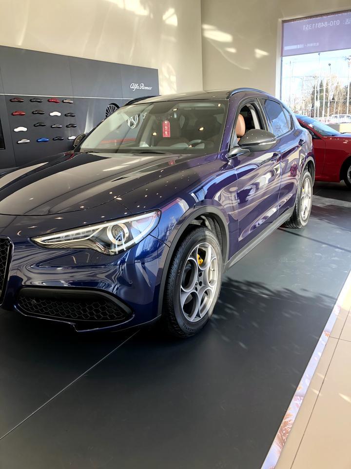 stelvio-想入手，座椅和维修，哪位大侠可以聊聊