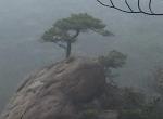 风行t5-我想知道1.5T的油耗是多少最好是开了一个月以上的说说