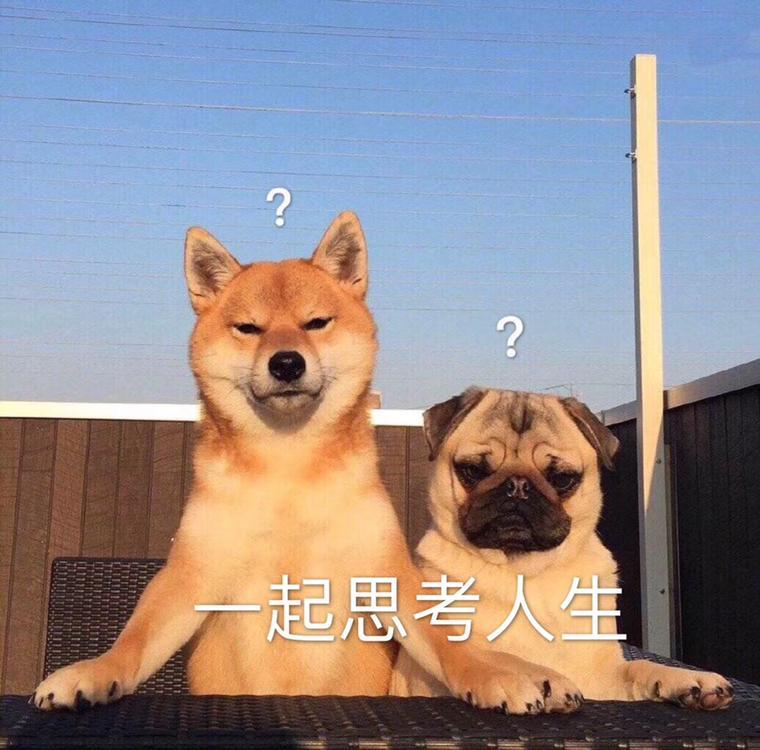 大家有没有买黑色的柯珞克，豪华版的，求外观照片，在纠结黑还是白？