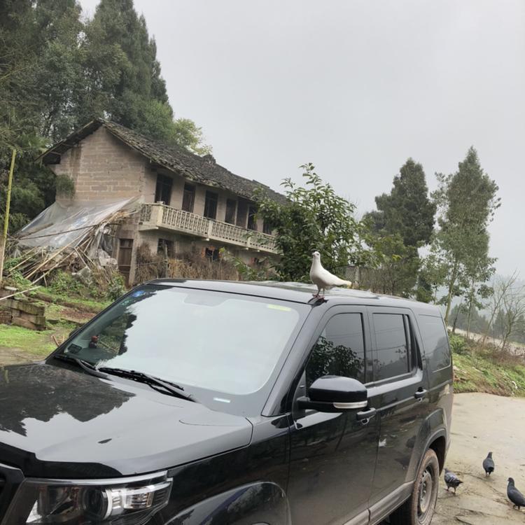 长安欧尚x70a-不是有黑色车，怎么没看到有卖的
