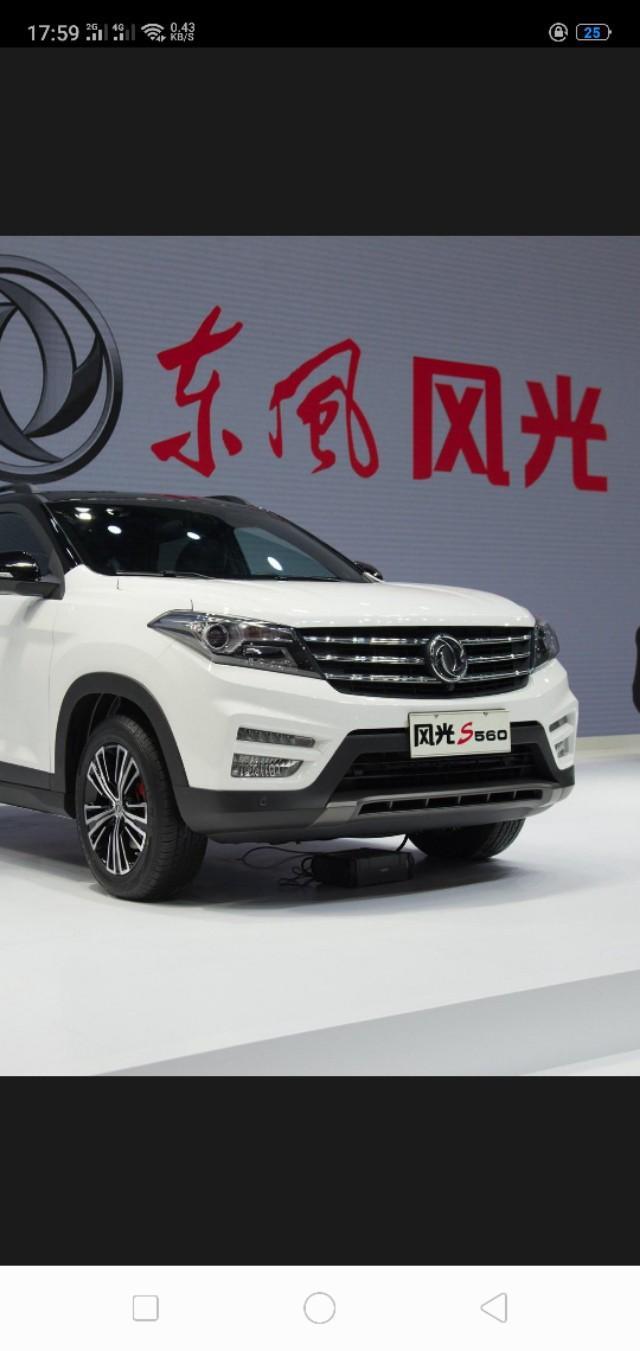 风光s560-560有这种色的吗？