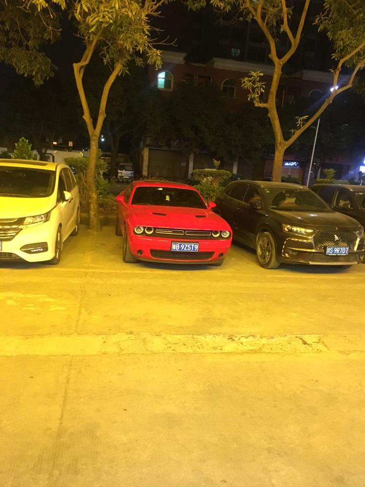 挑战者-这款车是不是蝰蛇？价格多少钱？