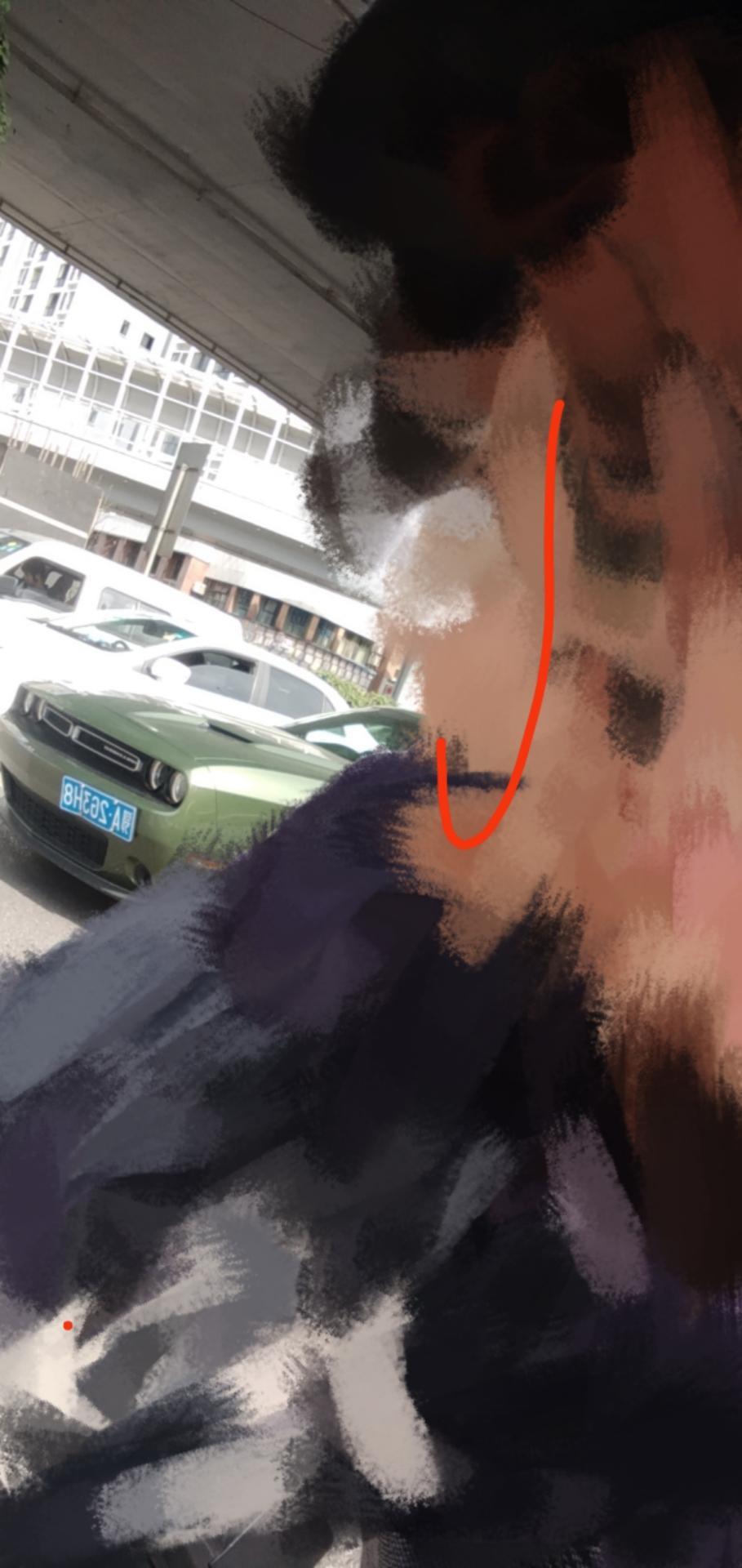 挑战者-今天看到一个小姐姐开这个车，谁能告诉我这是什么车