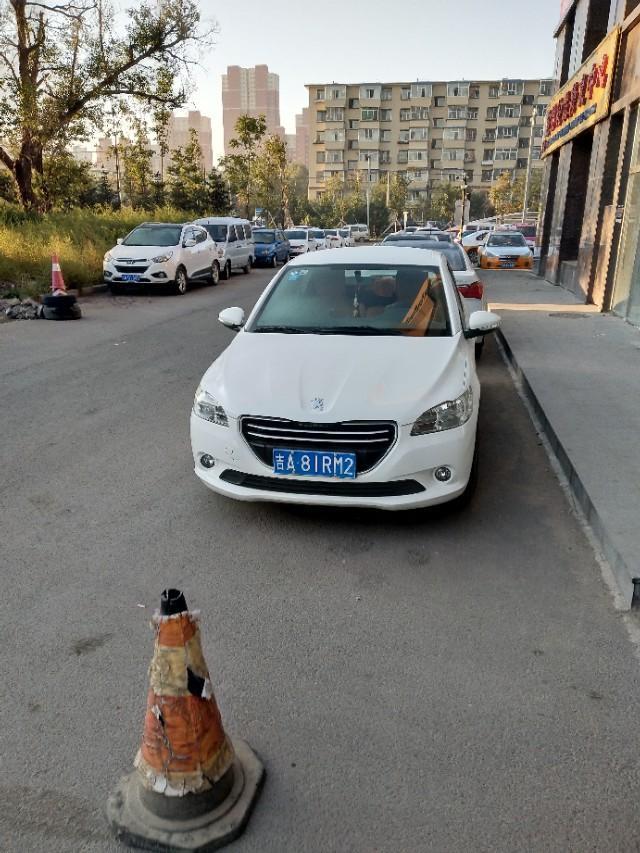 标致301-标志301有全景天窗版的吗？