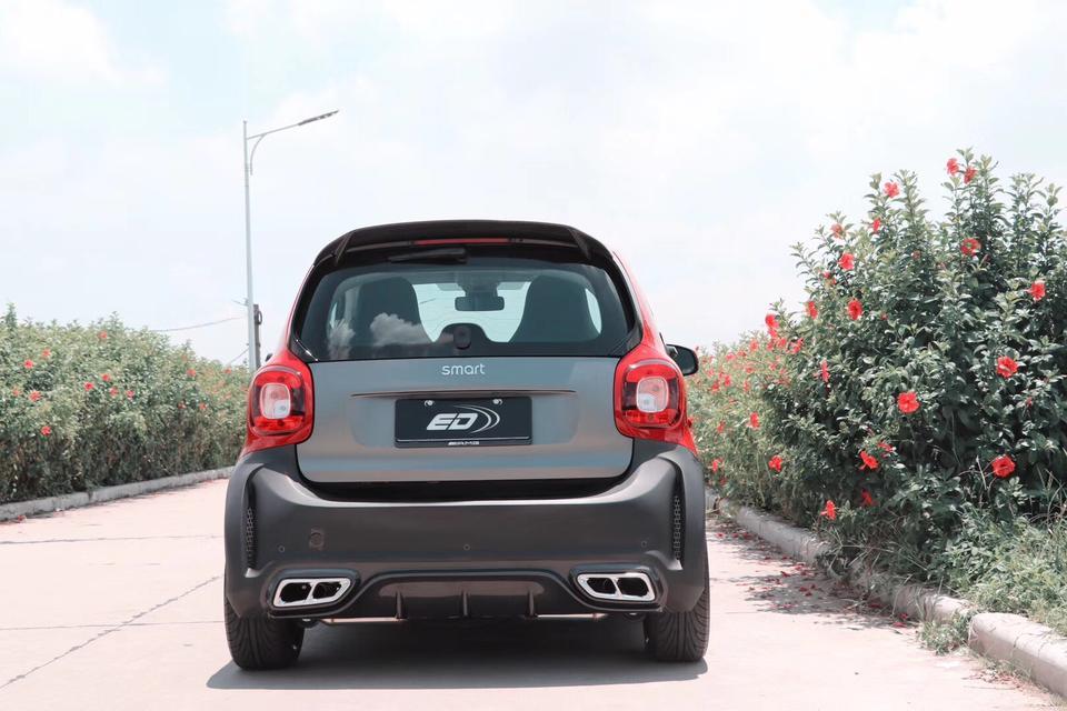 smart fortwo-看看这小车漂亮不？