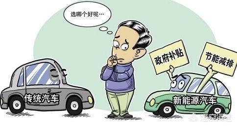 秦dm-有人说新能源车是历史最伟大的忽悠，你问么看？？？