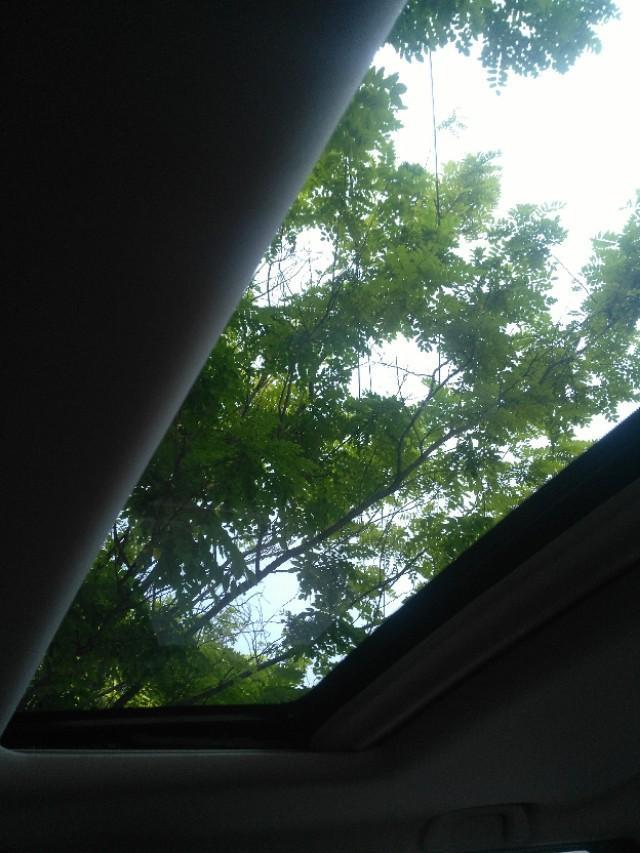 长安欧尚a600-最近经常下雨，天窗有些漏雨，车友们的有漏的吗？