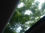 长安欧尚a600-最近经常下雨，天窗有些漏雨，车友们的有漏的吗？