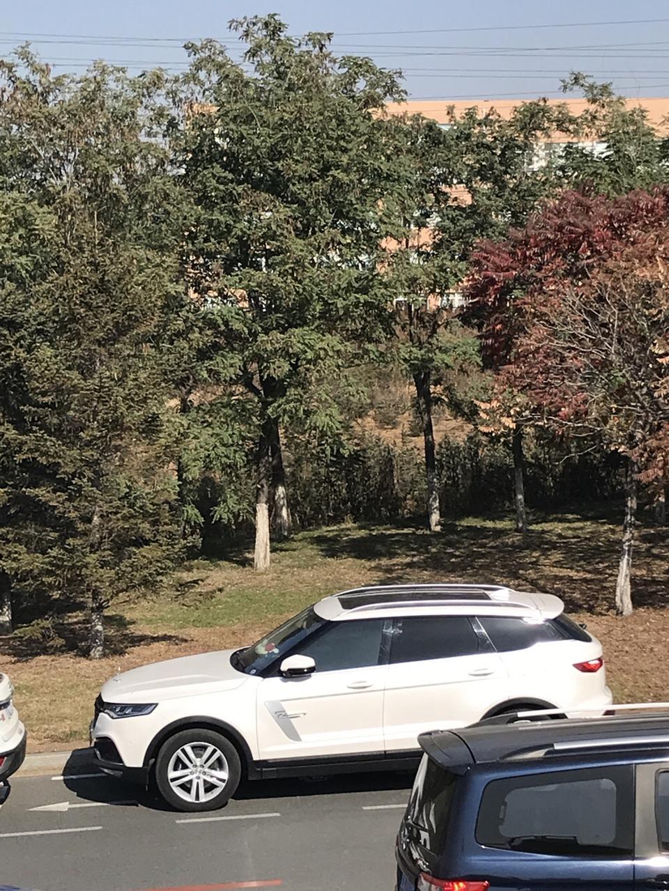 众泰t700-全景天窗的玻璃险用不用上呢? 众泰t700-全景天窗的玻璃险用不用上呢?