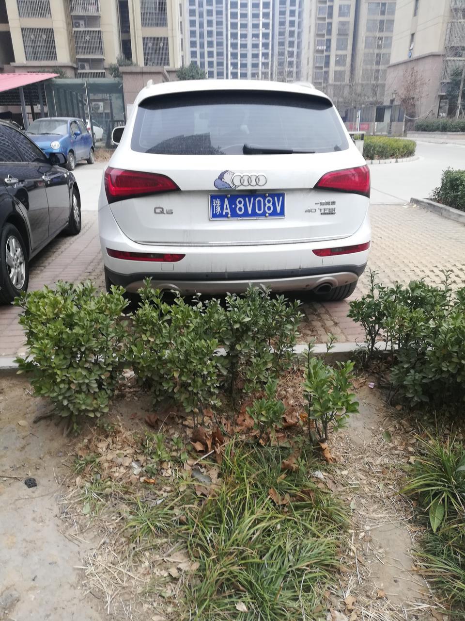 众泰t600-奥迪屁股好圆润