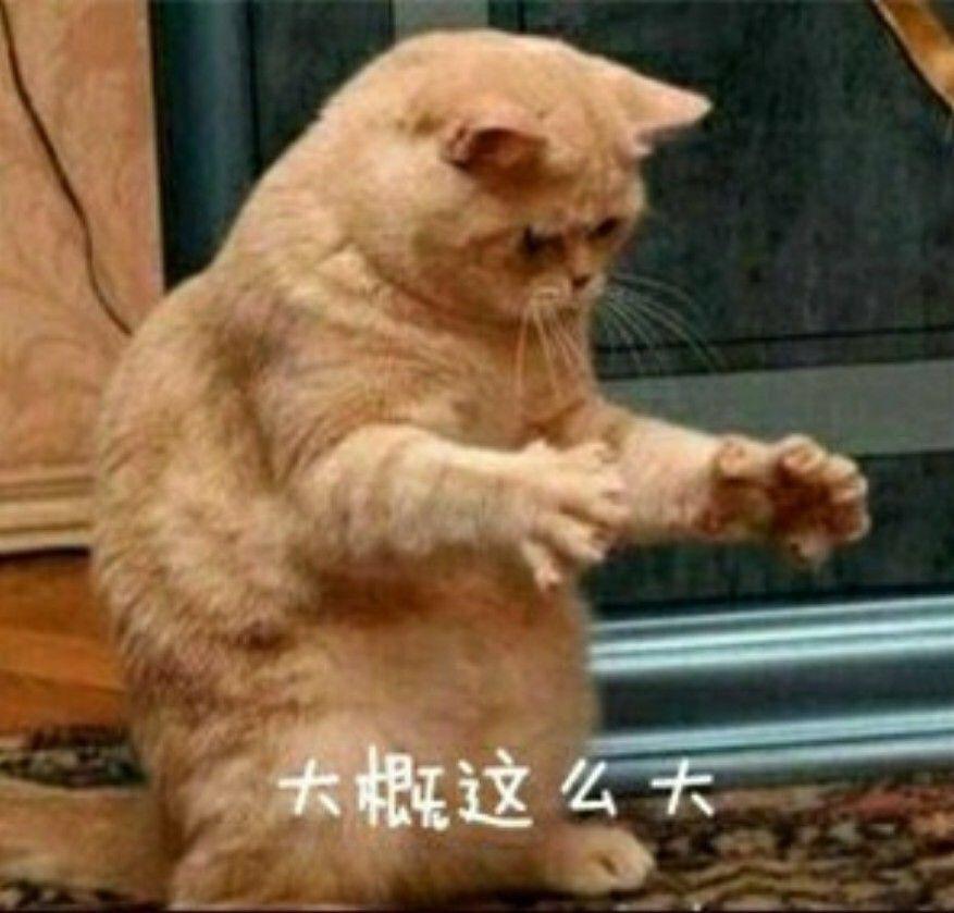 一三款的奔腾b50引擎盖和零九…一二款的一样吗