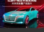 红旗e·境-怎么开门