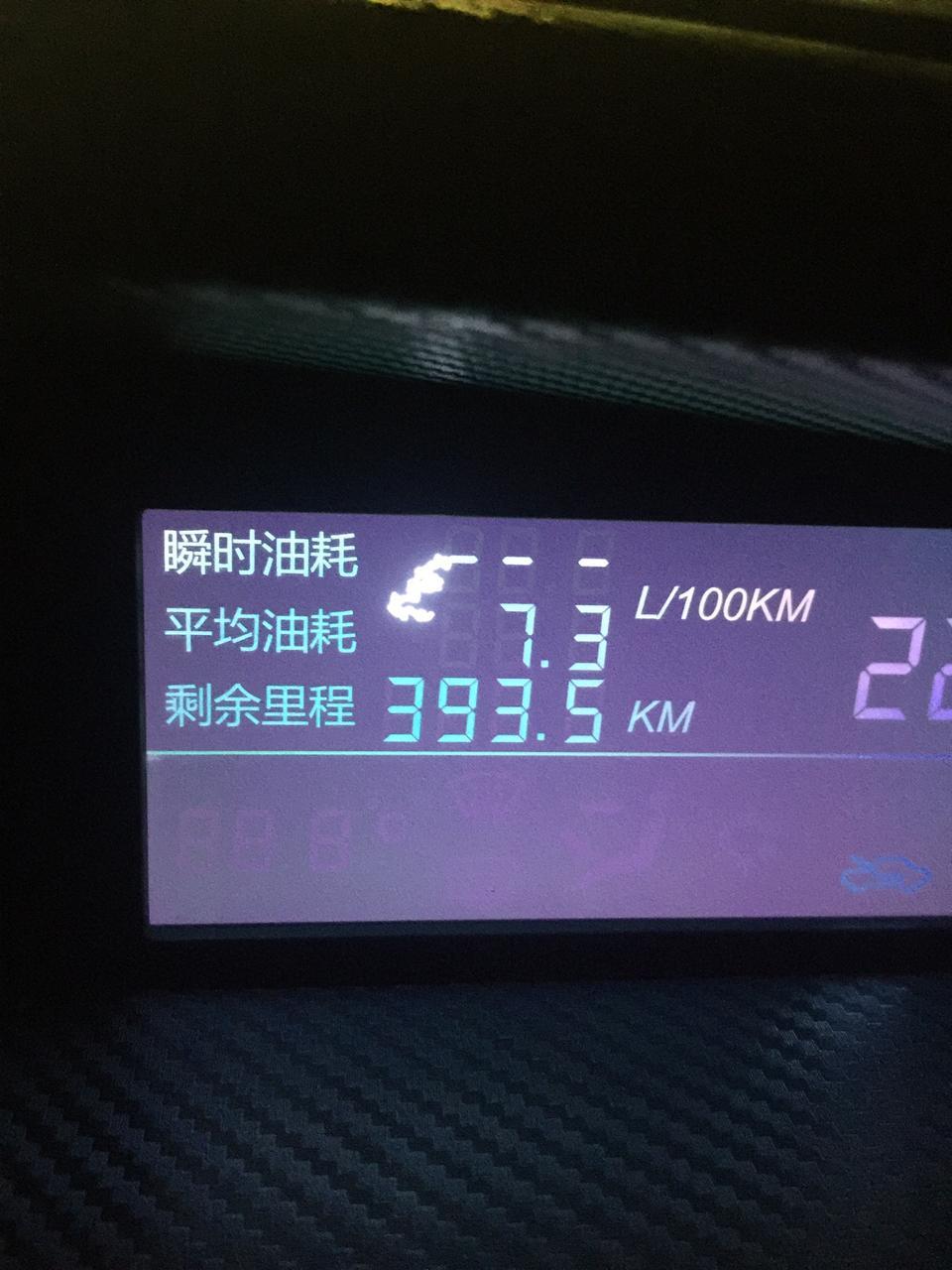 福美来-海马m5 图片上那个树枝样的图标是什么？