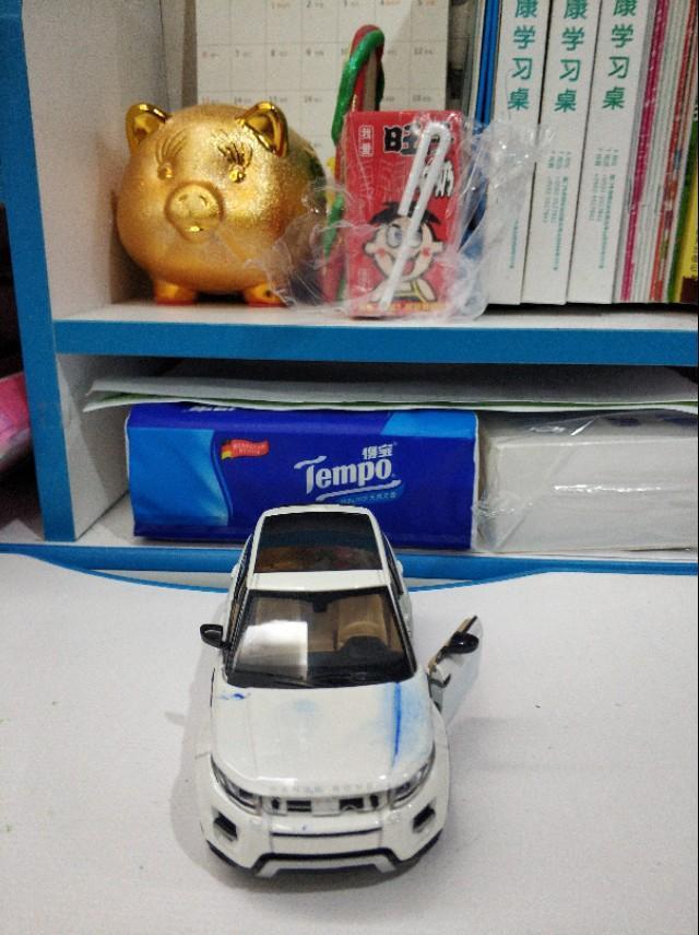 长安cs75-大家看看这是什么车      RANGE   RoVER