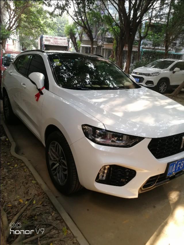 思域-能猜到这车款车车形吗