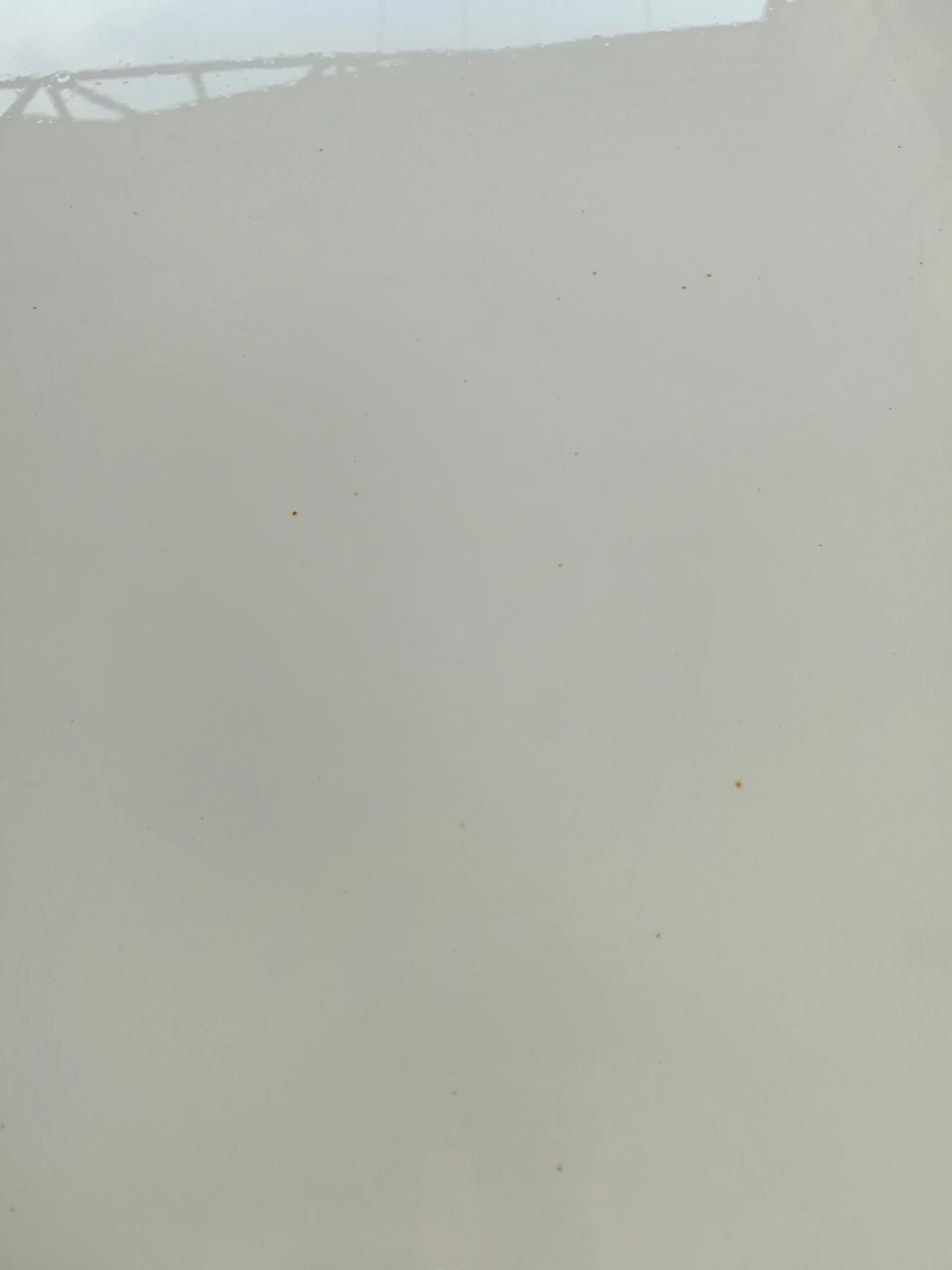 车友们好！我的哈弗H6运动版精英型手拨车是今年4月份提的车到现在才三个多月，前车盖出现小锈斑比较严重，车尾车顶也有，车门还少，这是怎么回事呀？我的另一辆2017年的东风风光580是17年提的车到现在3年了，也没出现这情况！万能的车友帮忙建议我该找厂家维权吗？