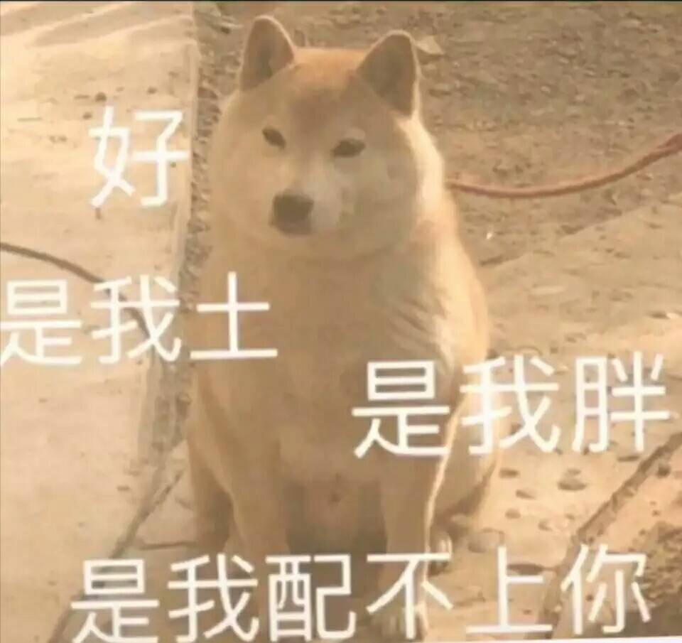 雅阁-老哥们，260精英提车问4S要个LED大灯和行车记录仪难度大不大，这俩玩意成本高不高