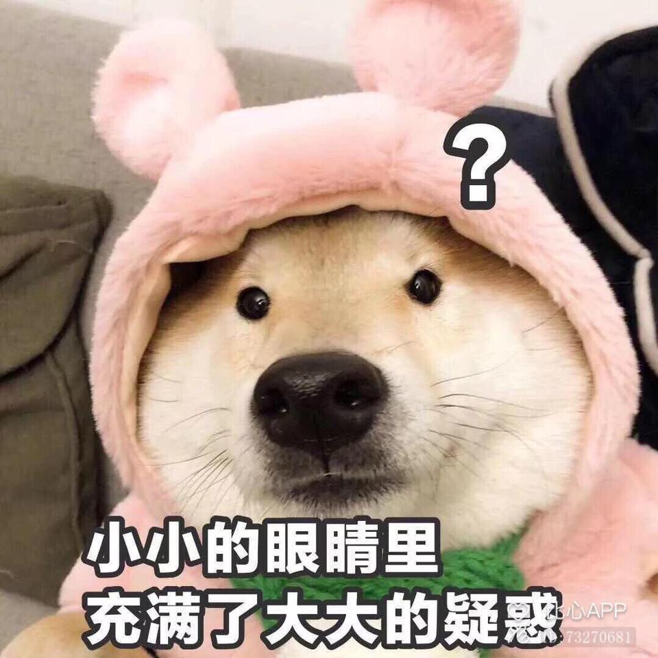 各位朋友们
现在有两个喜欢的
我是买顶配的菲斯塔还是乞丐版的雅阁呢