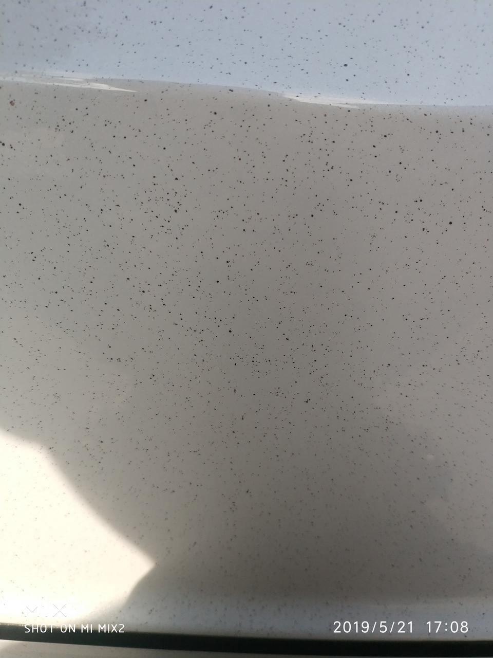 雅阁-车后面出现这种小黑点洗也洗不掉怎么办呀