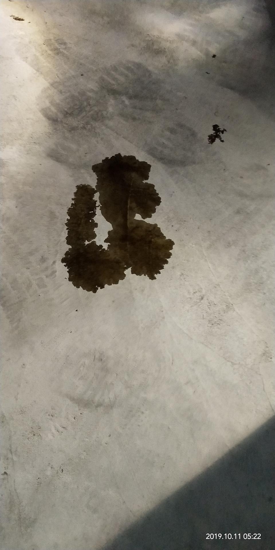 宝马3系-我驾车一个晚上漏油   原来会有烟从引擎盖冒出来  求助