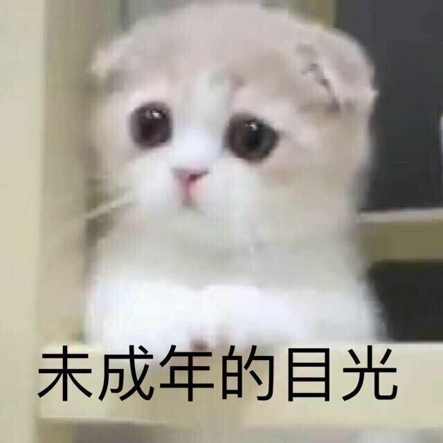 宝马3系-32万能不能买到首发版