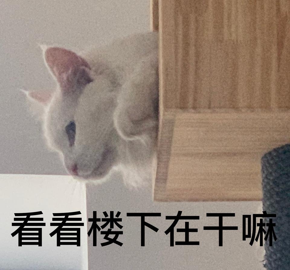 宝马3系-35万预算落地，全款购车 轿车，到底买哪款好。女生开