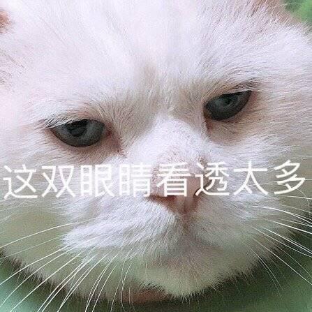 卡罗拉-2019 款1.8L油电混合 百公里油耗多少 底盘怎么样 落地多少钱