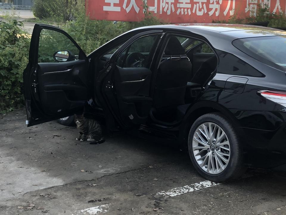 凯美瑞2.5g豪华能装流媒体后视镜么？四儿子店送了我一个流媒体后视镜，今天跟我说想要回来，说它只兼容2.0的凯美瑞。有这种说法吗？  流媒体后视镜有没有用，四儿子说可以给我换别的东西，我应该换点啥。