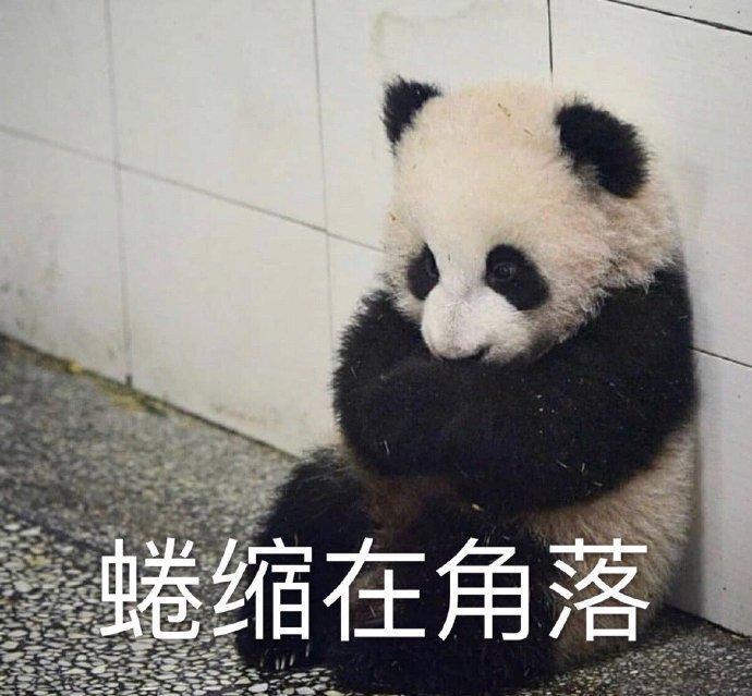 迈腾-各位大佬想请教一下，驾照分被扣完，正准备去学习，在这期间可以购买车辆吗，麻烦回复一下