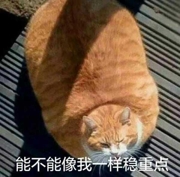 请问一下1.4t速腾油耗多少  谢谢各位老哥