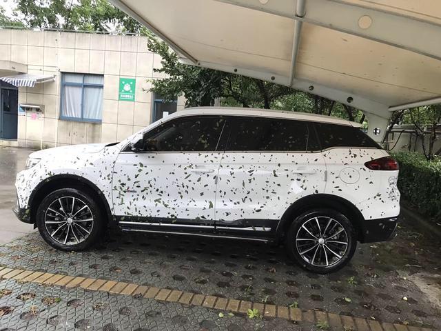 博越-兄弟们这是哪款车