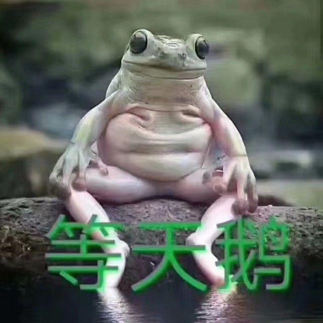 亚洲龙最低你们是办完多少钱啊，就是一共的，问了不少，没有个实价，各位买了的给个建议