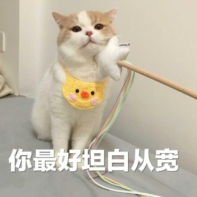 迈锐宝xl-大佬们年底迈瑞宝还会进行大改吗？